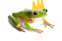 Prince J Froggerton