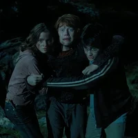 Hermione Rony Harry 