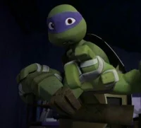 Donatello Hamato
