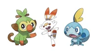 galar starter squad
