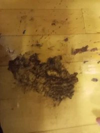 Dirt gym floor