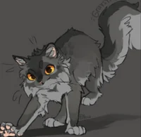 Graystripe