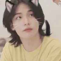 neko hwang hyunjin 