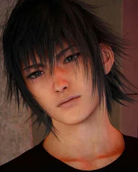 Noctis Lucis Caelum