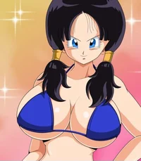 Videl 