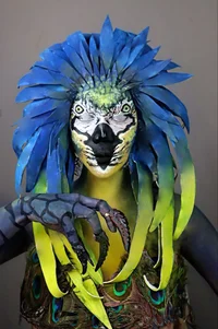 Macaw