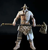 THE RAIDER