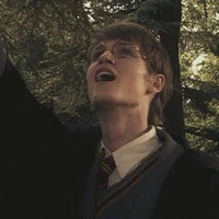 James potter 