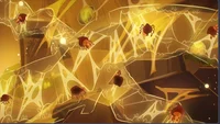 Spiders LMK