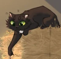 Ravenpaw