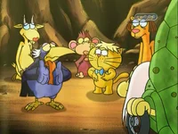 De  Dierenraad 