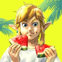 Link-totk