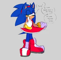 Sonic swap