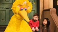 Big Bird 