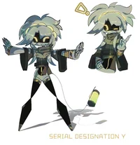 Serial Designation Y