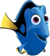 Dory