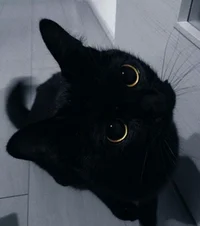 Kiko
