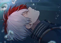 Shoto Todoroki 