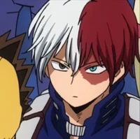 Shoto Todoroki