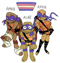TMNT AU