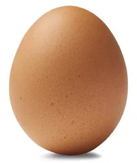 Egg