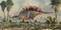 Stegosaurus 