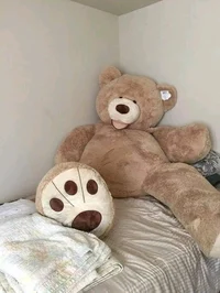 Teddy Bear