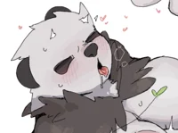 Pangoro