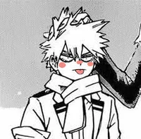 bakugou katsuki 