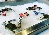 Crabs playing uno