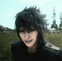 Noctis Lucis Caelum