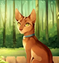 Warrior Cats
