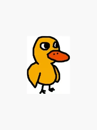 The duck 