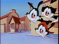 Yakko Wakko Dot