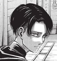 Levi Ackerman 