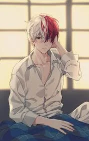 Shoto Todoroki 