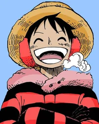 Luffy- punk hazard