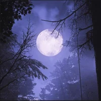 07 - HACKETTS QUARRY