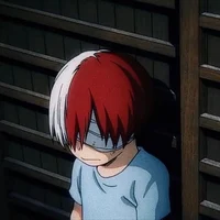 Shoto todoroki
