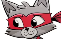 Cat Ninja