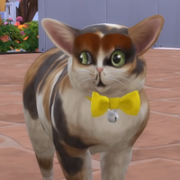 Graystillplays -SIMS