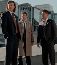 TEAM FREE WILL