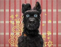 Chief - Isle of dogs