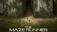 The maze runner