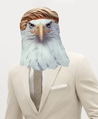 President eagle