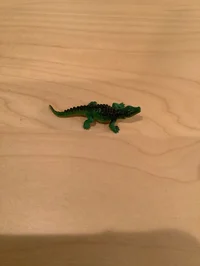 Alligator