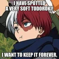 Shoto todoroki