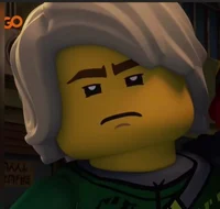 Lloyd Garmadon 
