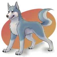Not a Dog
