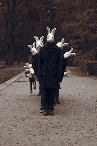The Rabbit Cult 